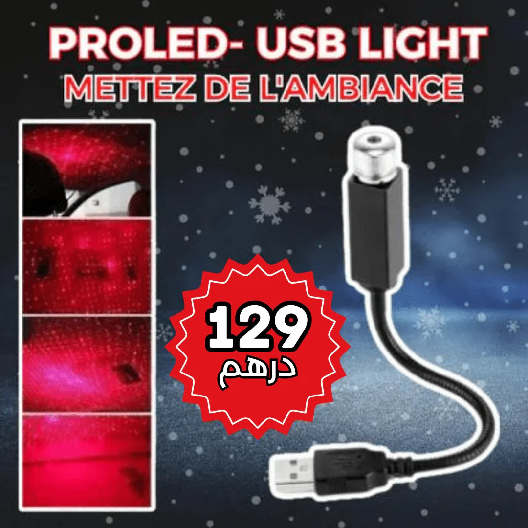 PROLED- USB Light E4